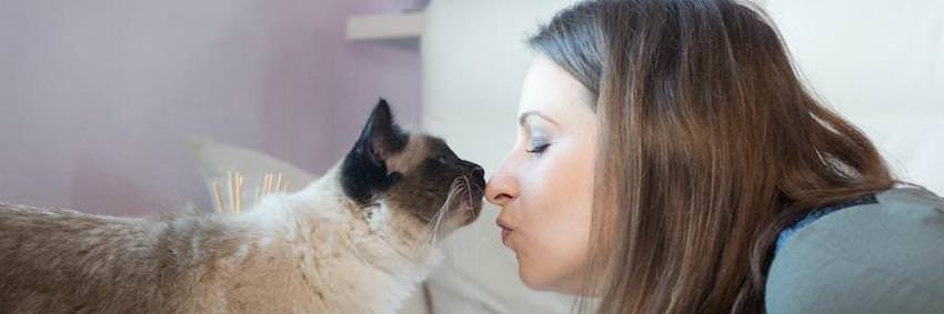 FeliwayUS's profile banner image