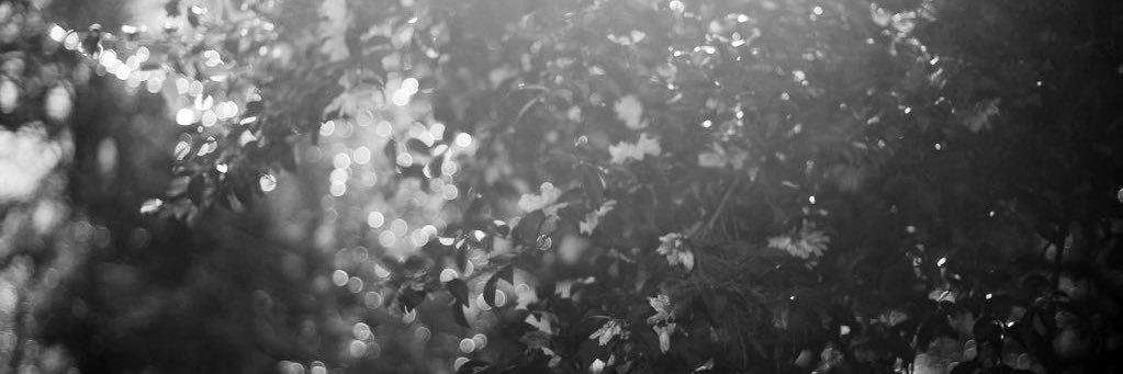 巡(めぐる)'s banner