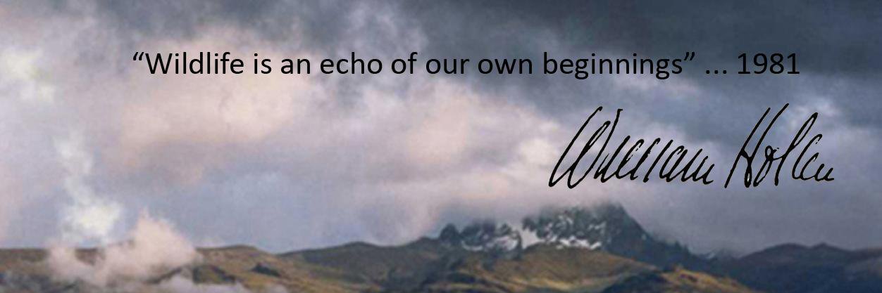 WHWF1's profile banner image