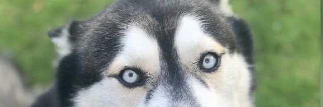 jbgordillo's profile banner image