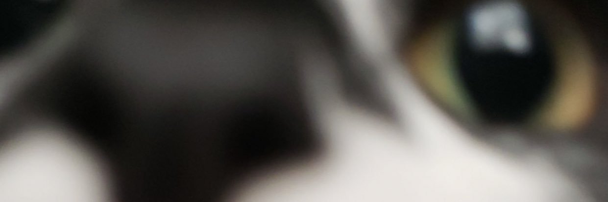 gl0wstickb0nes's profile banner image