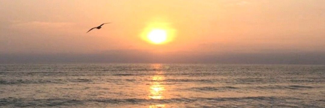 AlexandrCarmon's profile banner image