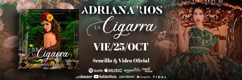 AMGBOOKINGS's profile banner image