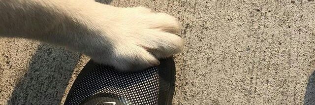 ryanbot_'s profile banner image
