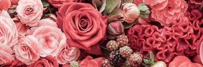 kimlobosfuentes's profile banner image