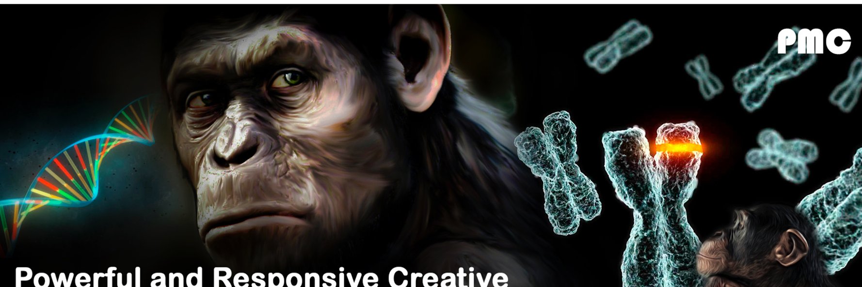 PMarkcreative's profile banner image