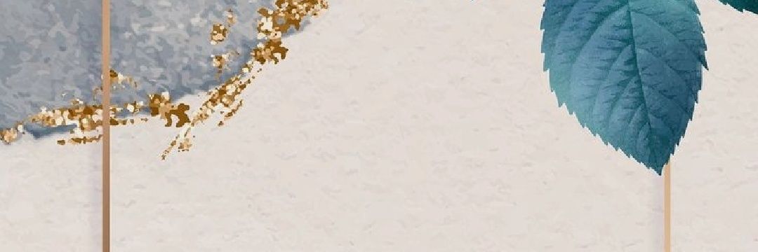 dippi014's profile banner image