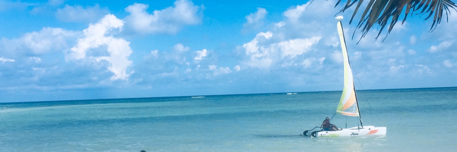 alexseigno's profile banner image