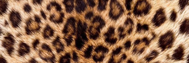haidyer10's profile banner image