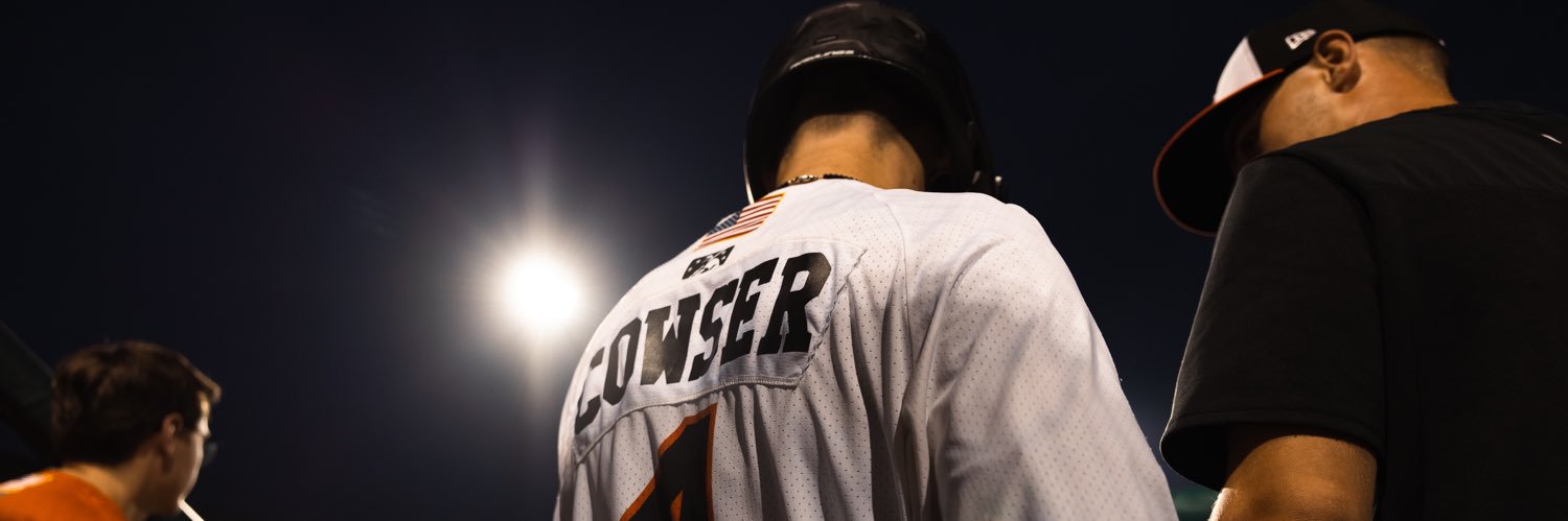 Colton Cowser banner