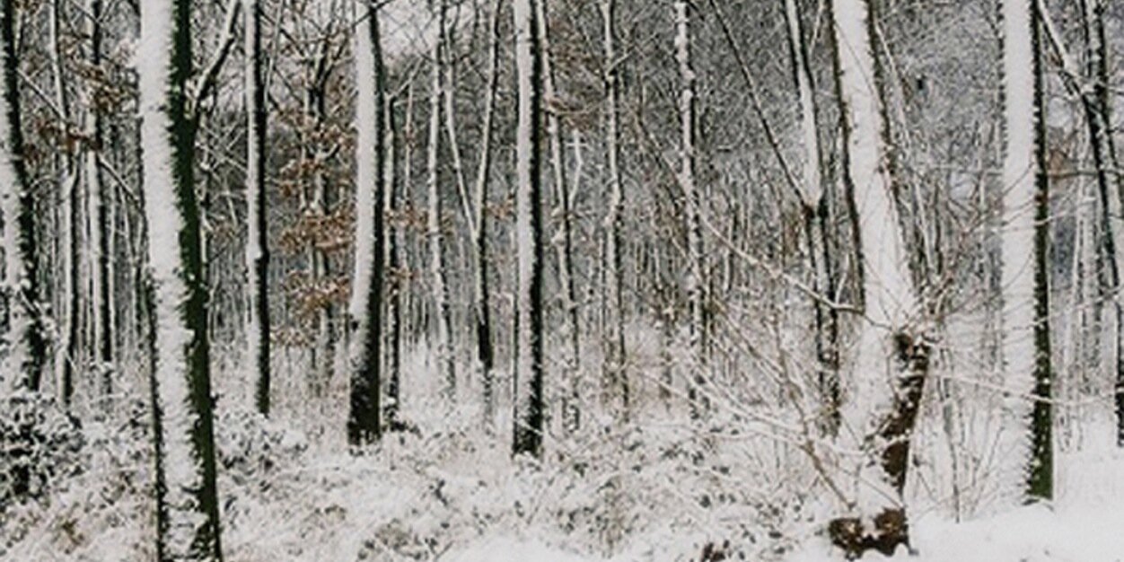 SebasValen77's profile banner image