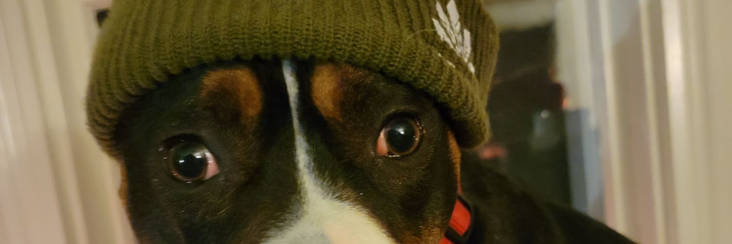 Nicholas Mathews banner