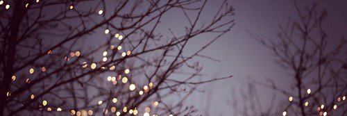 crazysofi_14's profile banner image
