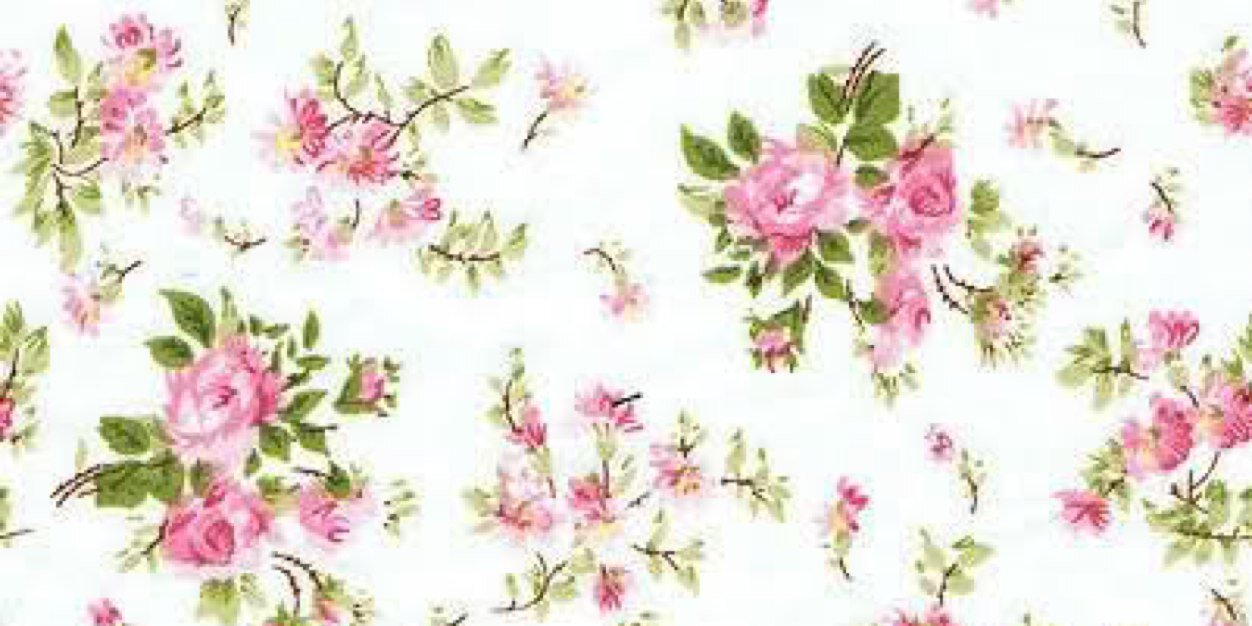 Julia banner