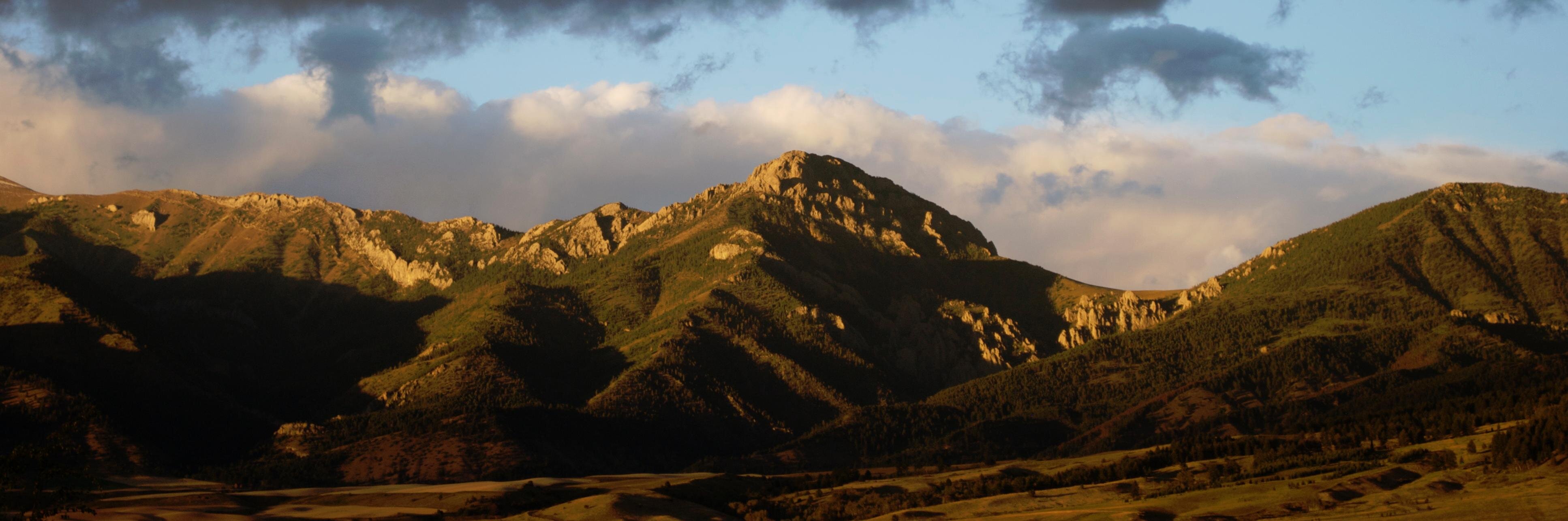 Dr. Cali Morrison, Endlessly Curious Xennial banner