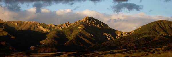 calimorrison Profile Banner