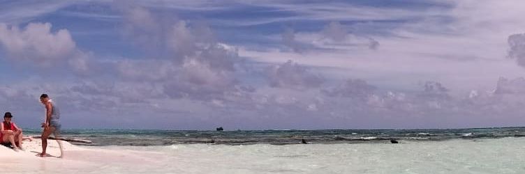 NIROSE1224's profile banner image