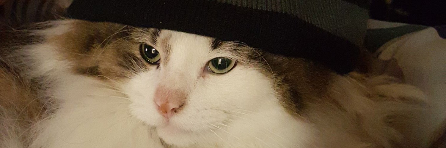 DontTrustMyBio's profile banner image