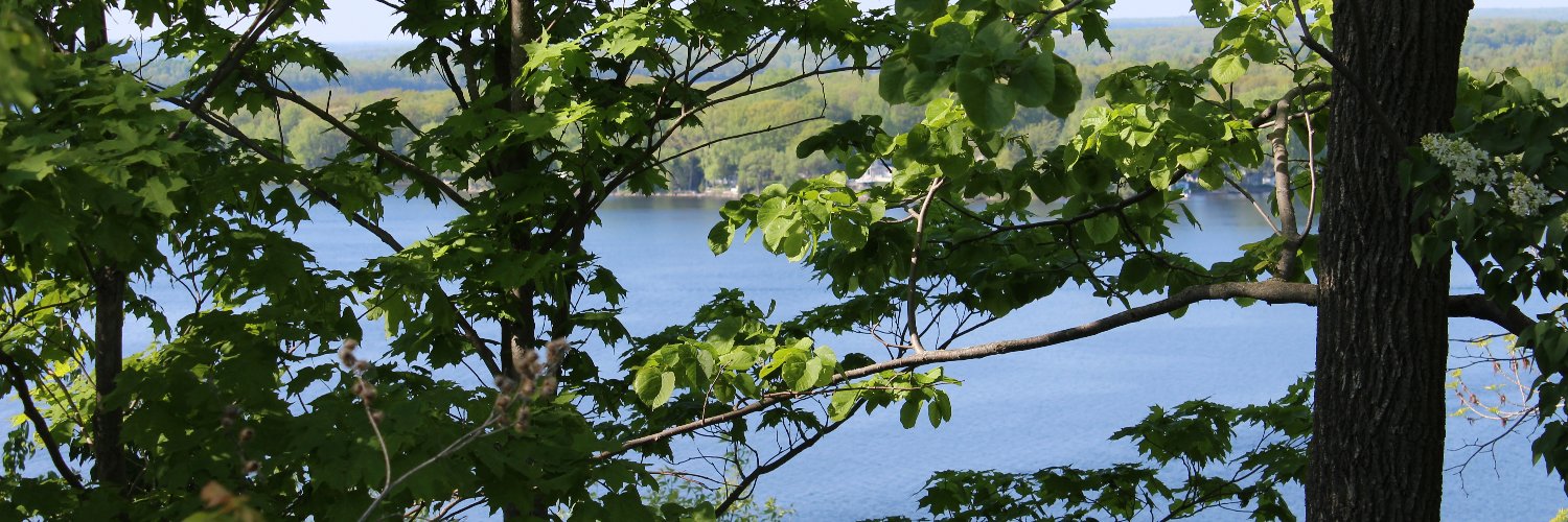 aaisham_ali's profile banner image