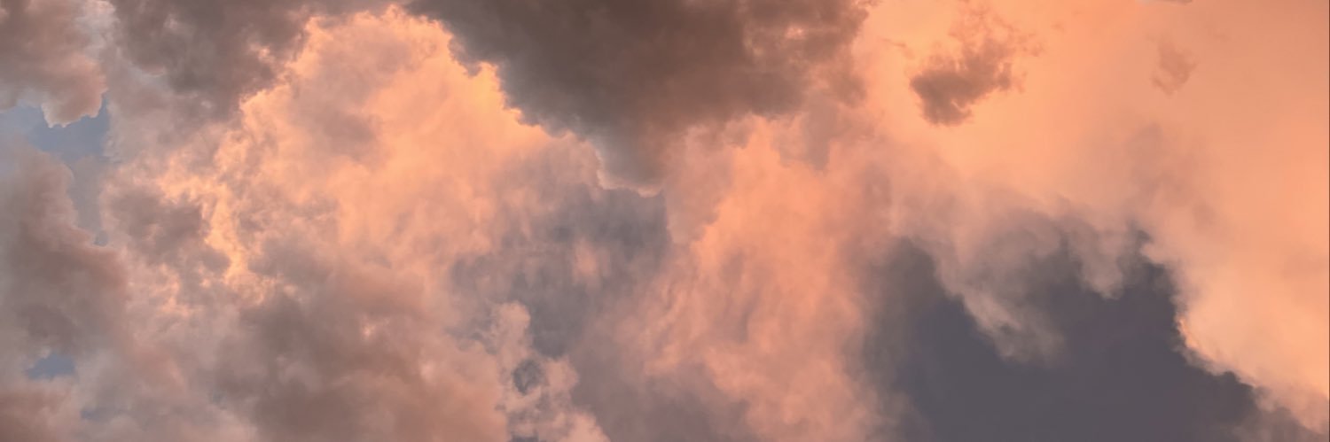 reillycomstock's profile banner image