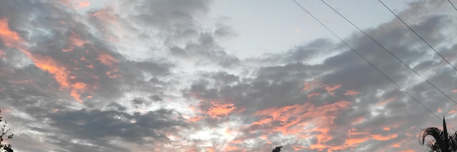 LesNat_'s profile banner image