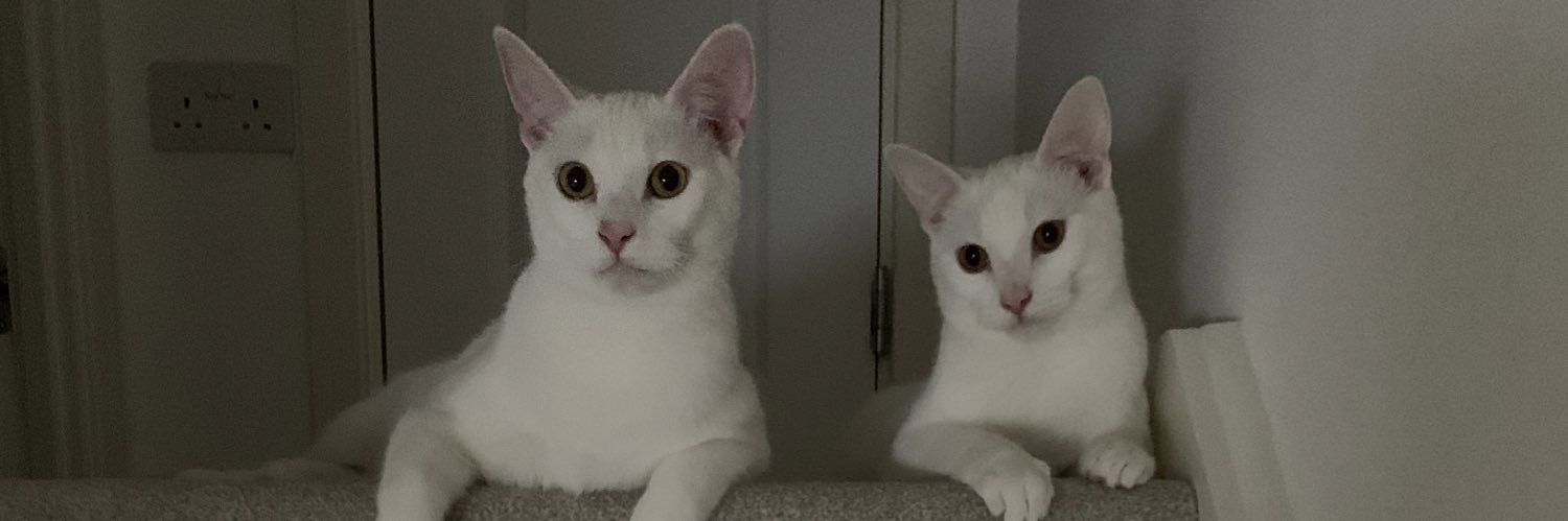 Padgeface_'s profile banner image