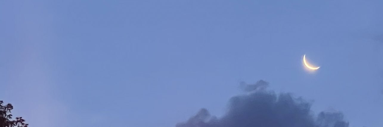 _sharonav's profile banner image