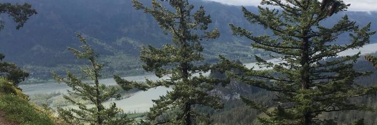 Shawn Postera banner