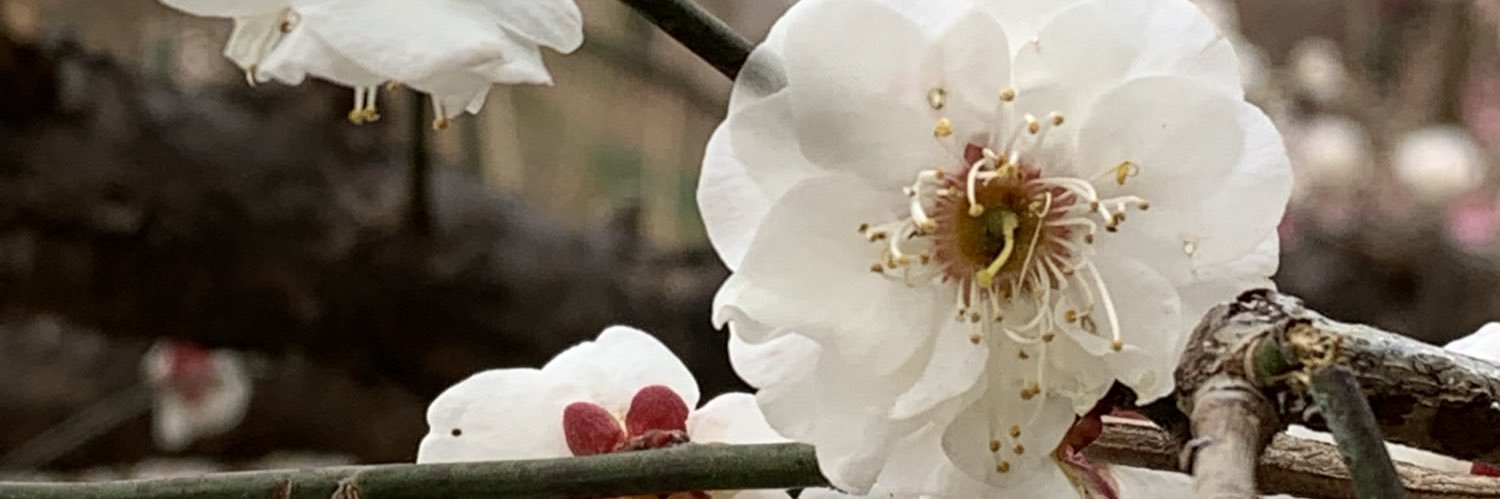 89773469's profile banner image