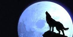 Detroit Sports Alcoholic banner