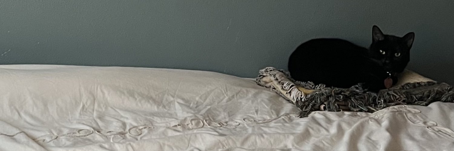 _curlymeli_'s profile banner image