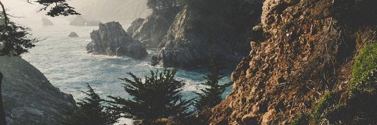 taylerzanielle's profile banner image