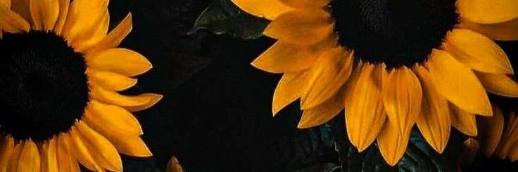 AguusWayar's profile banner image
