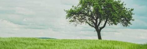 prabu927's profile banner image