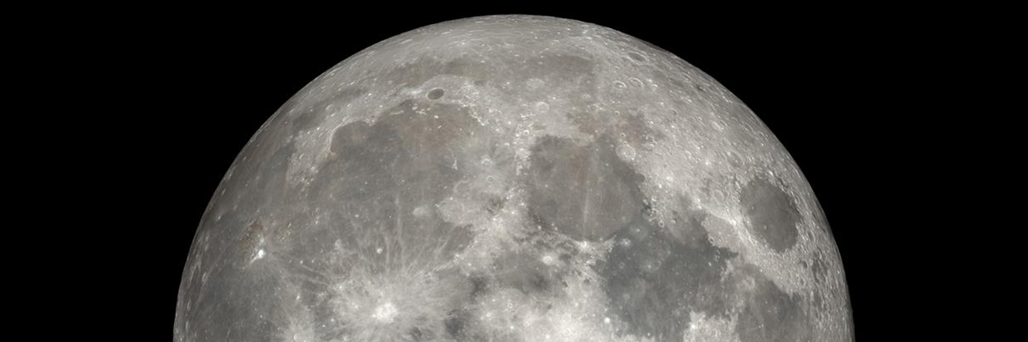 Dr. Jenni Gibbons banner