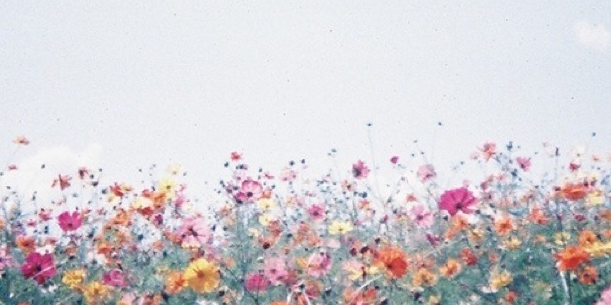SWallace66's profile banner image