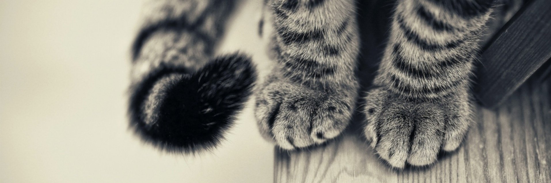 paloma91p's profile banner image