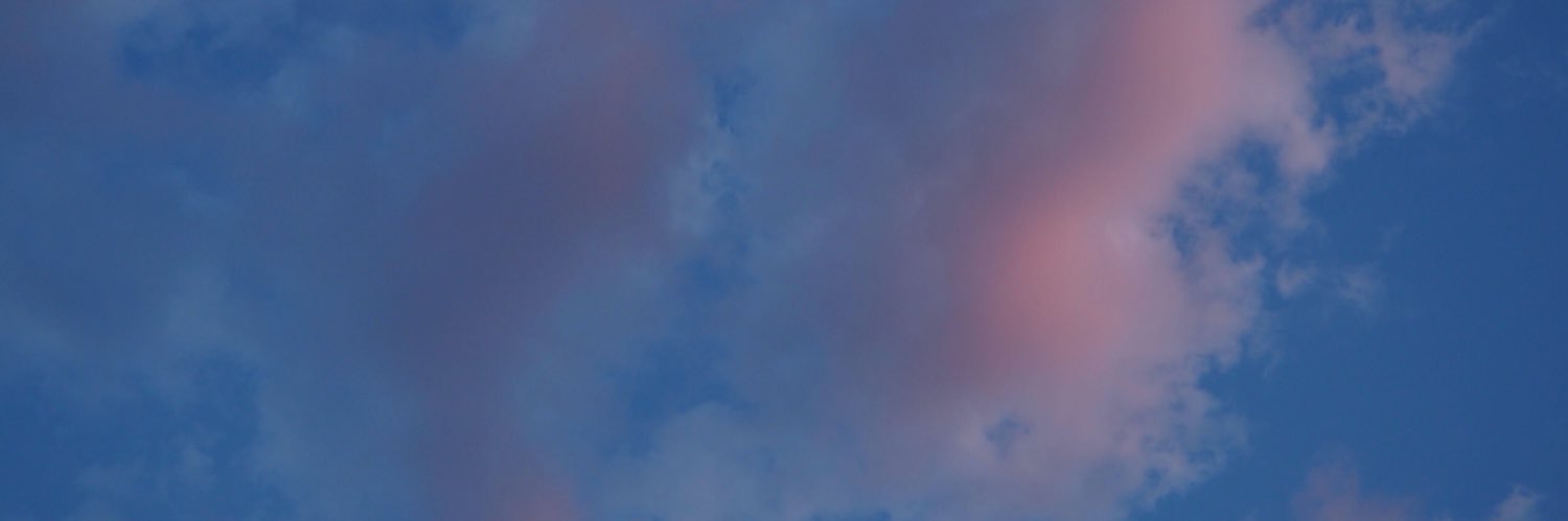 satomi__cello's profile banner image