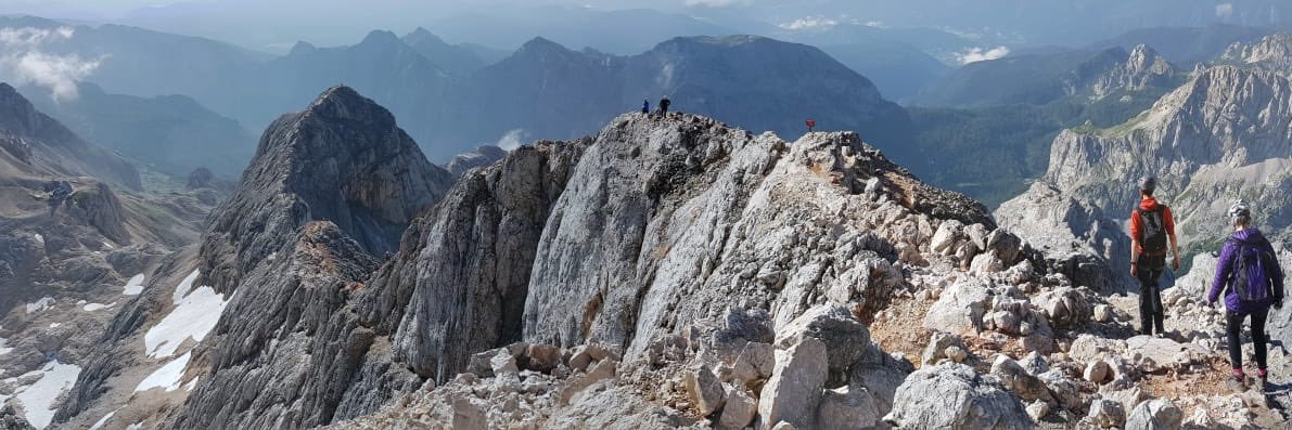 Claire Buchanan banner