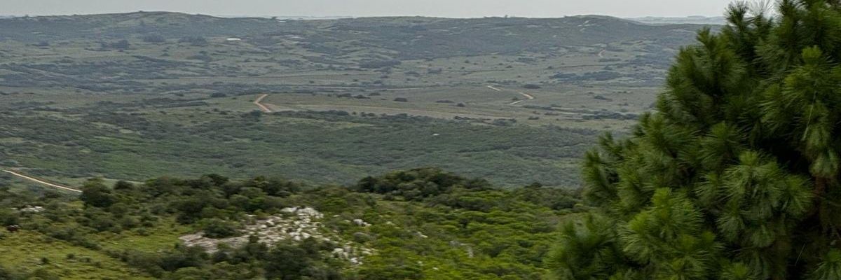 ruydiz's profile banner image
