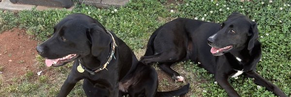 baileywigness Profile Banner