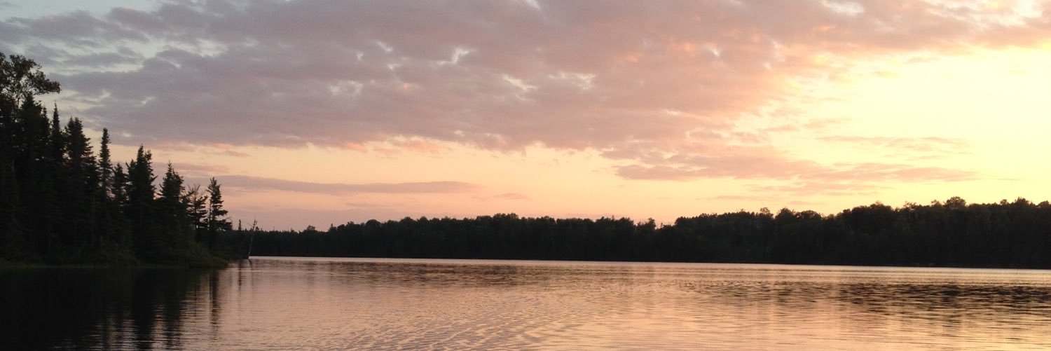 rileyolson29's profile banner image