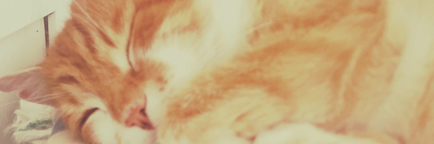 nostalgia_crazy's profile banner image
