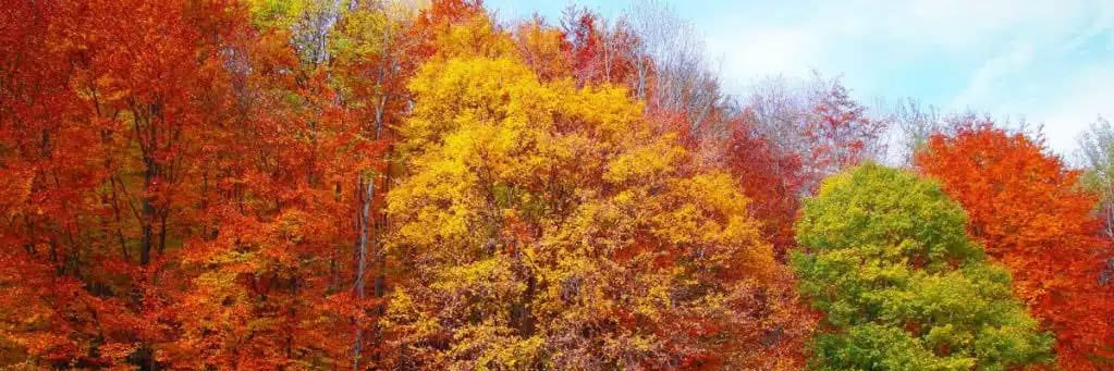 Jonathan Rosenberg banner