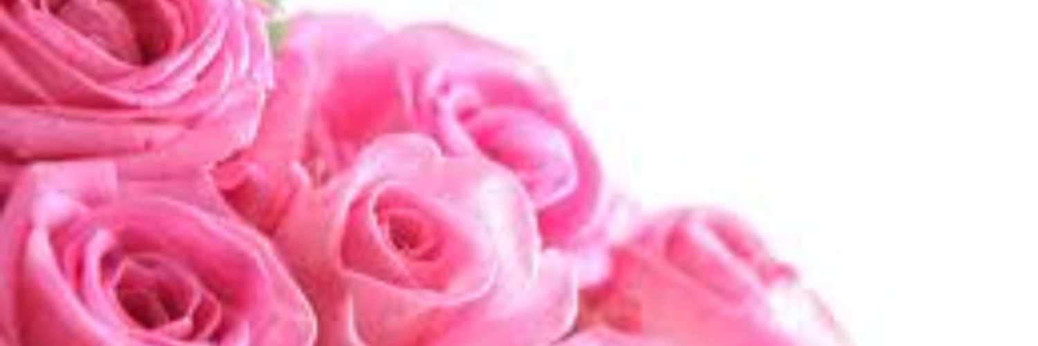 The Pink Flower Shop Twitter