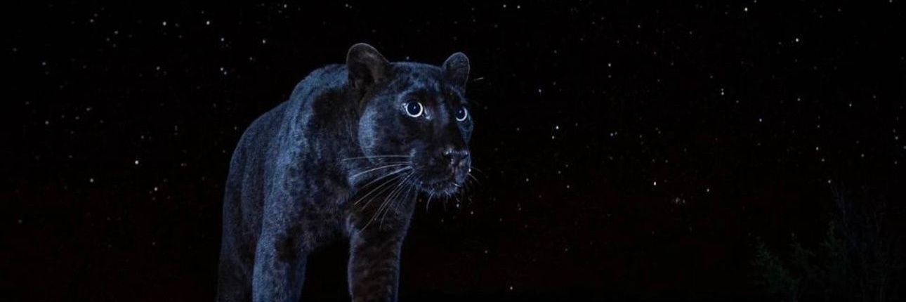 aaron 🌄🦅✞ banner