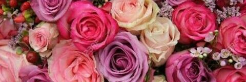 AstridBarba_'s profile banner image