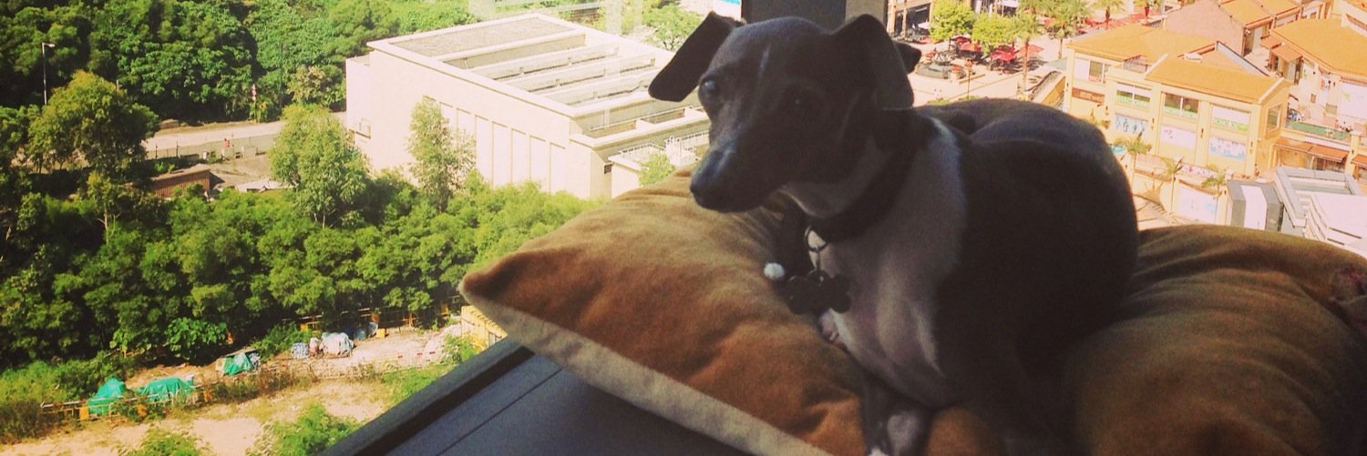 GreyhoundAlonso's profile banner image
