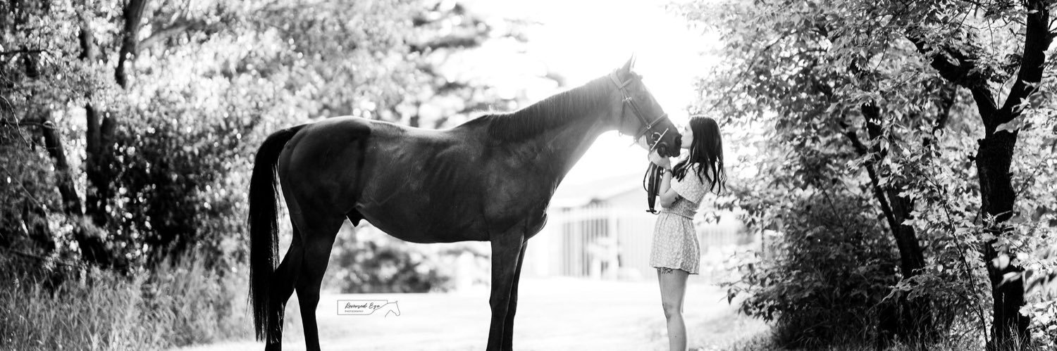 DempseyBrigitte's profile banner image