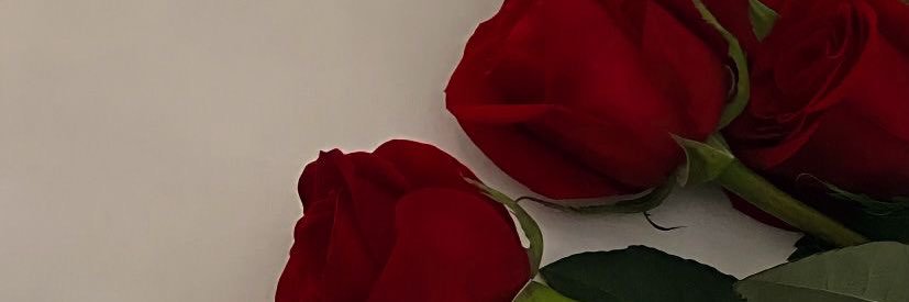 urinternetgirlf's profile banner image